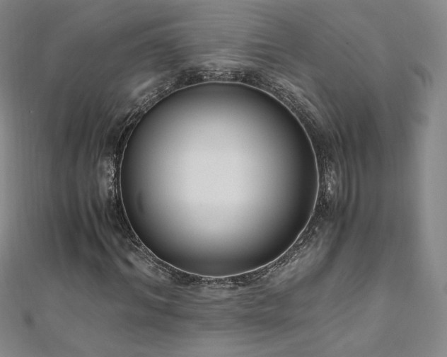 X0000111010964200906191608