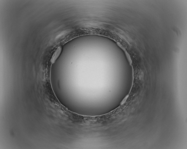 X0000111010965200906191608