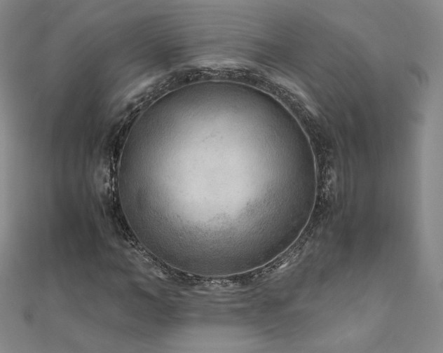 X0000111010966200906191608