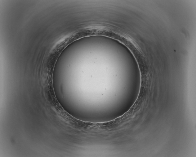 X0000111010967200906191608