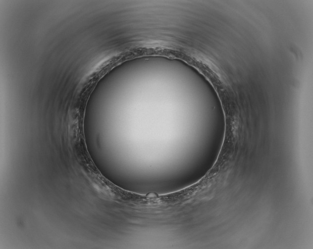 X0000111010968200906191608