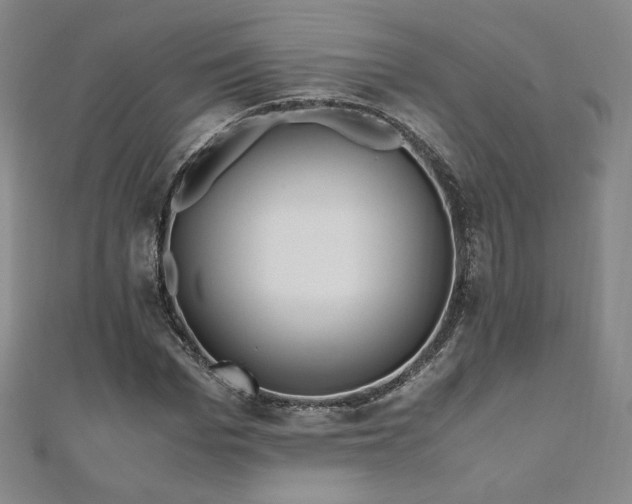 X0000111010969200906191608