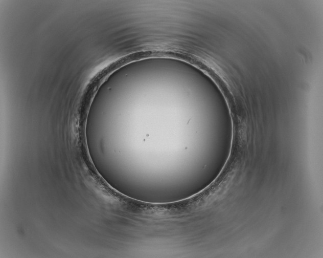 X0000111010971200906191608