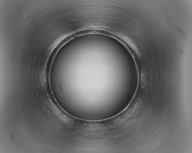 X0000111010972200906191608