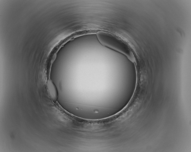 X0000111010973200906191608
