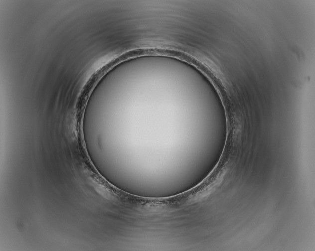 X0000111010974200906191608