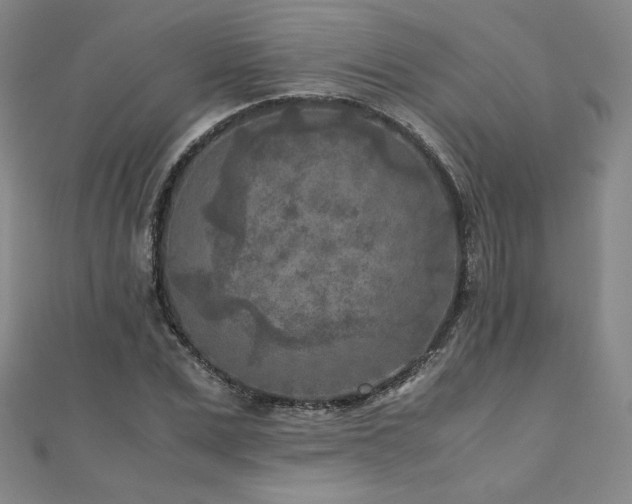 X0000111010975200906191608