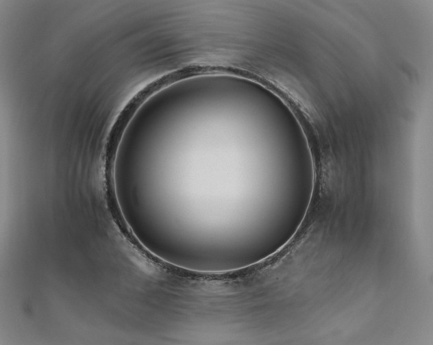 X0000111010976200906191608