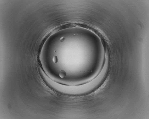 X0000111010977200906191608