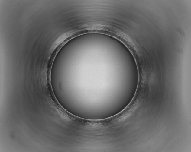 X0000111010978200906191608
