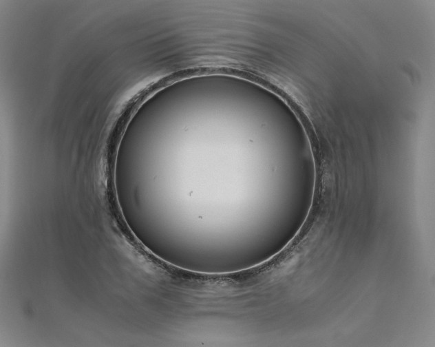X0000111010979200906191608