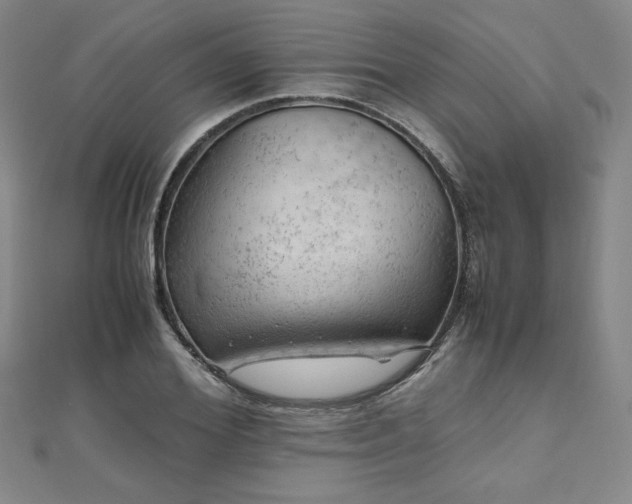 X0000111010980200906191608