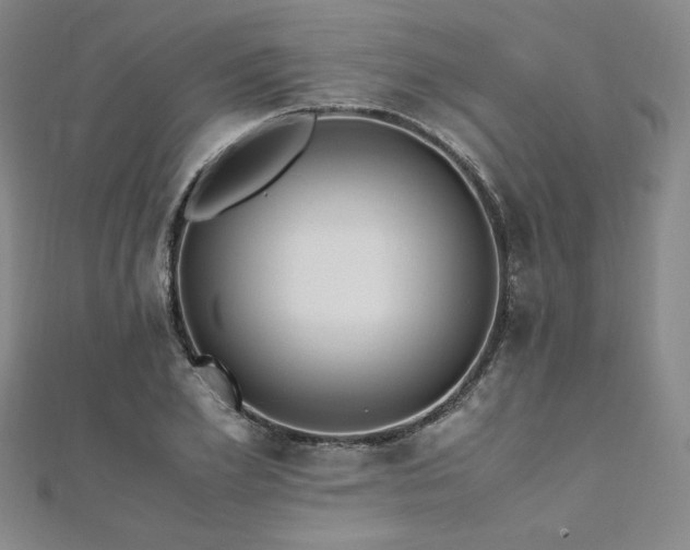 X0000111010981200906191608