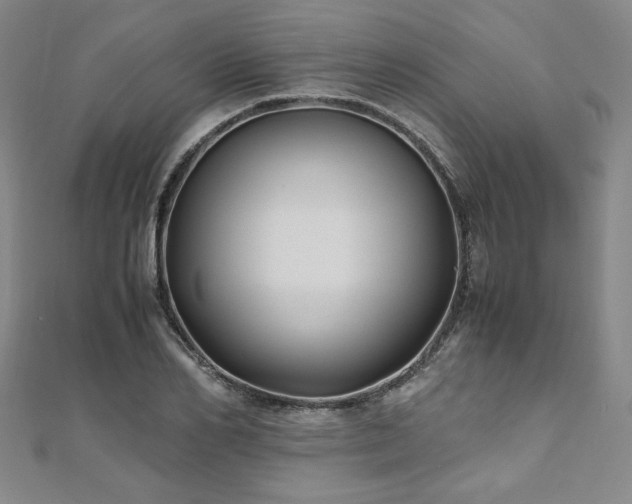 X0000111010982200906191608