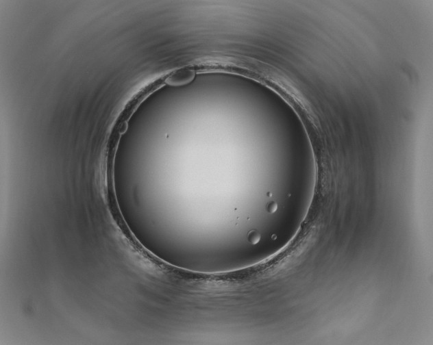 X0000111010984200906191608