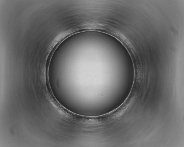 X0000111010986200906191608