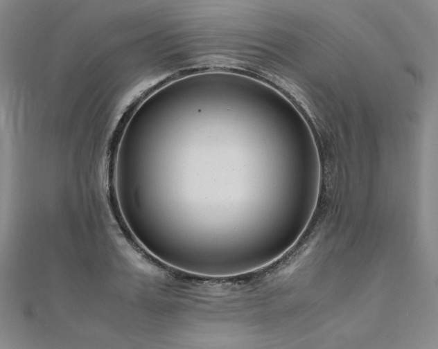 X0000111010987200906191608
