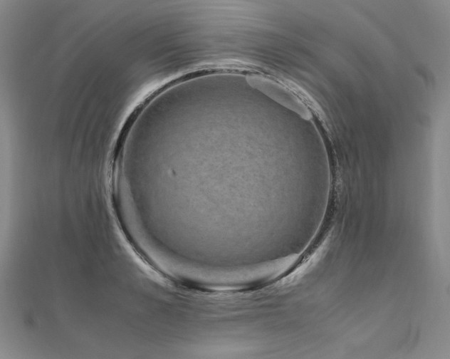 X0000111010989200906191608