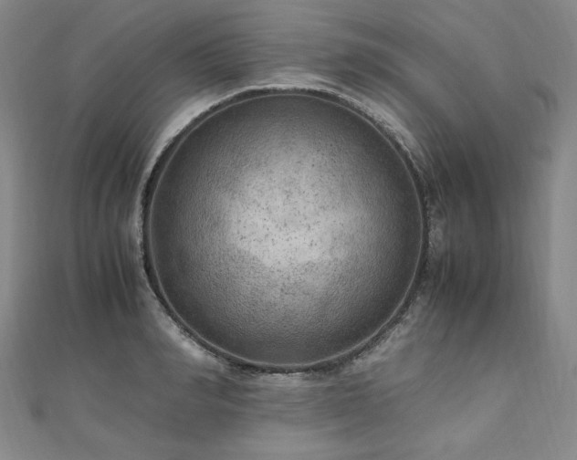X0000111010990200906191608