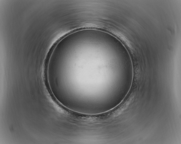 X0000111010991200906191608