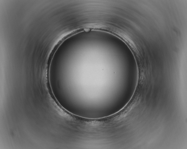 X0000111010992200906191608