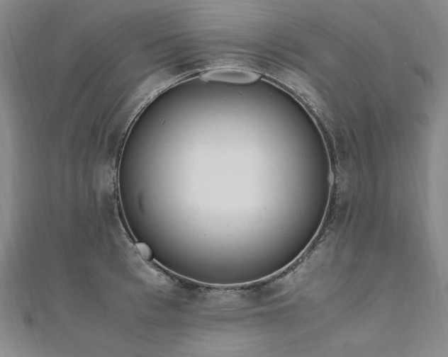 X0000111010993200906191608