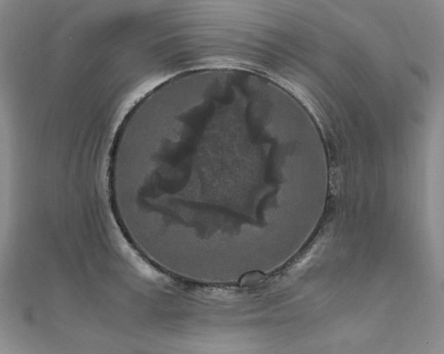 X0000111010995200906191608