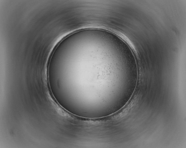 X0000111010996200906191608