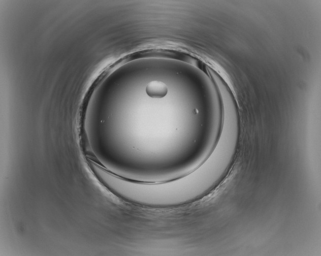 X0000111010997200906191608