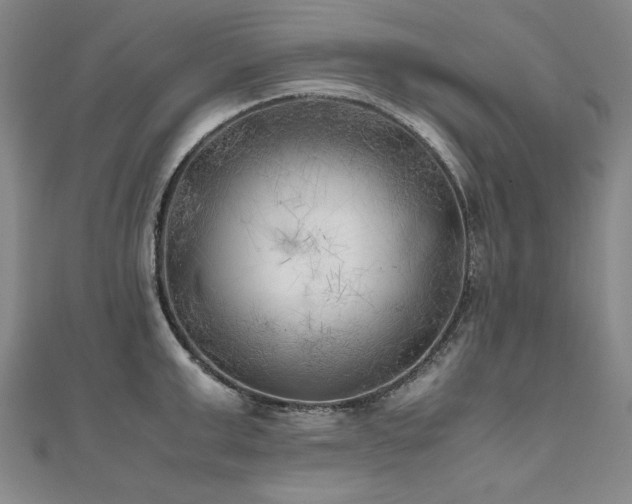 X0000111010999200906191608