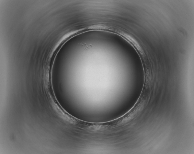 X0000111011000200906191608
