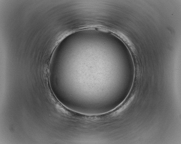 X0000111011001200906191608