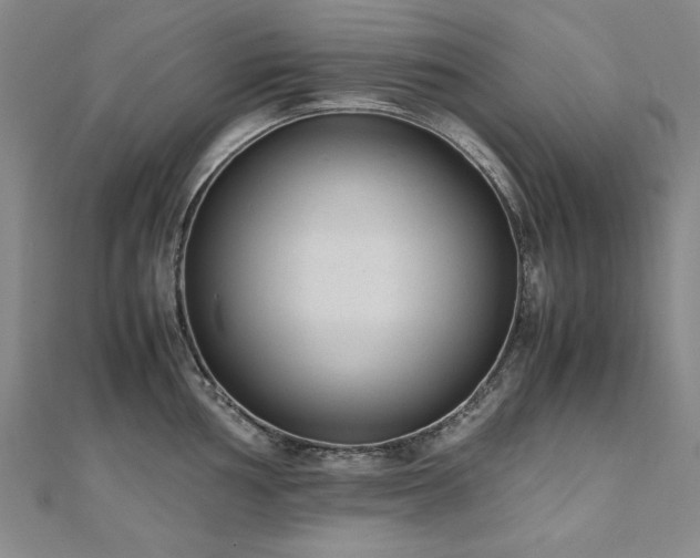 X0000111011002200906191608