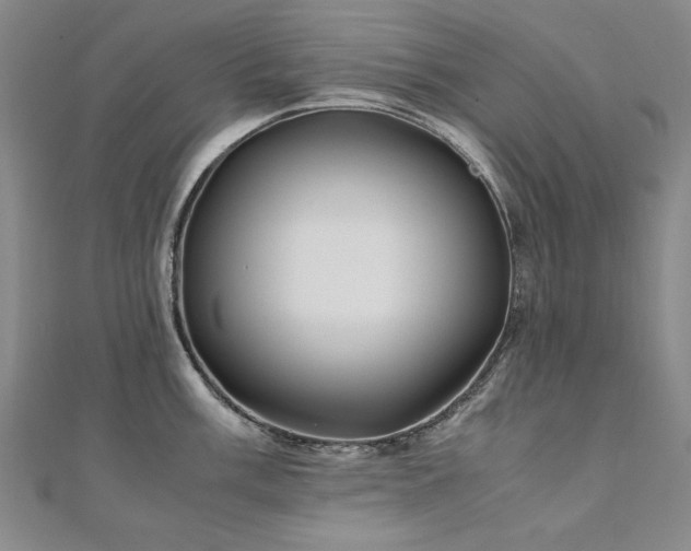 X0000111011003200906191608