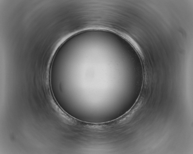 X0000111011004200906191608
