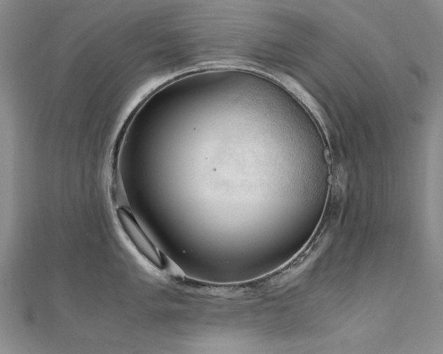 X0000111011005200906191608