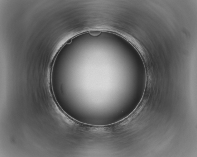 X0000111011006200906191608
