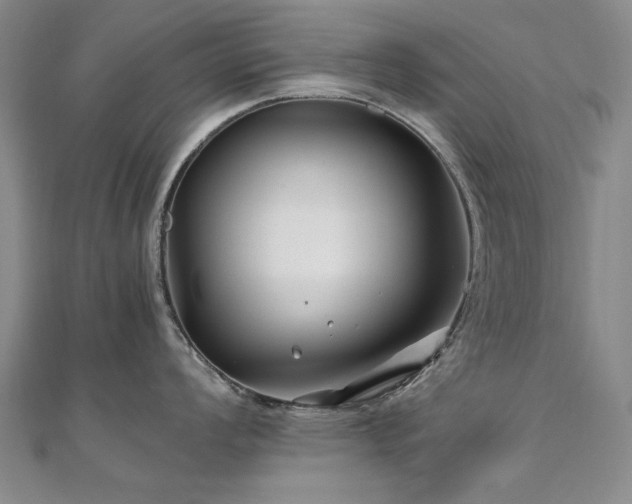 X0000111011008200906191608