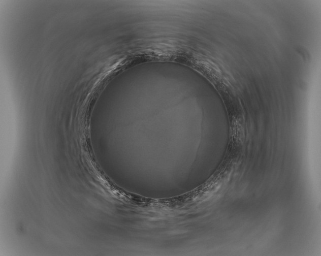 X0000111011009200906191607