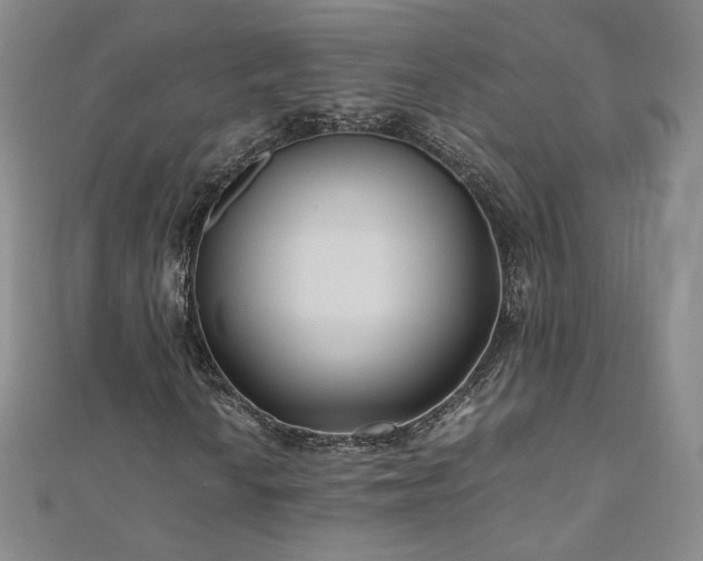 X0000111011010200906191607