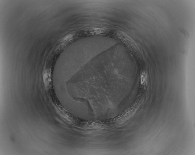 X0000111011011200906191607