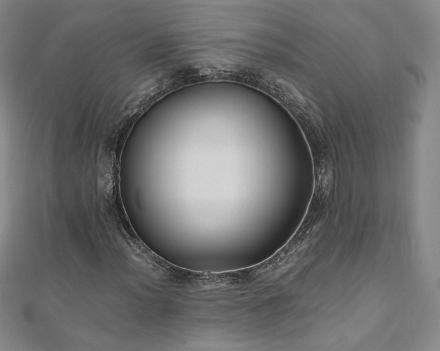 X0000111011012200906191607
