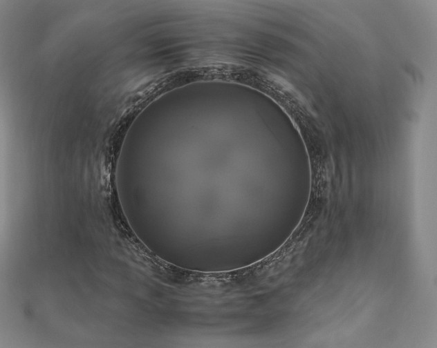 X0000111011013200906191607