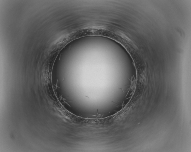 X0000111011014200906191607