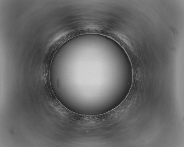 X0000111011015200906191607