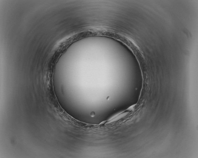 X0000111011016200906191607