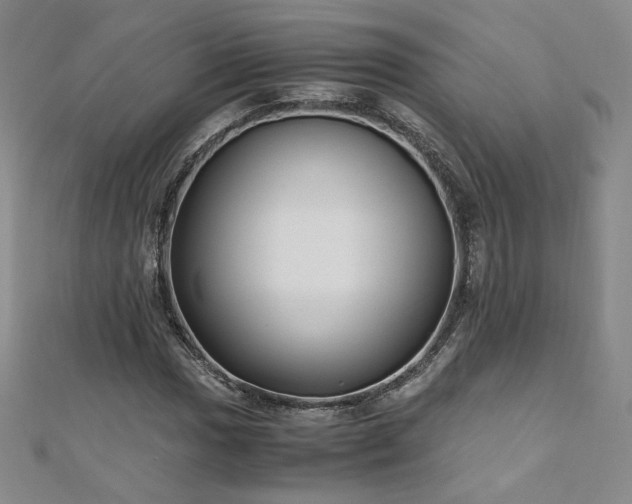 X0000111011017200906191607