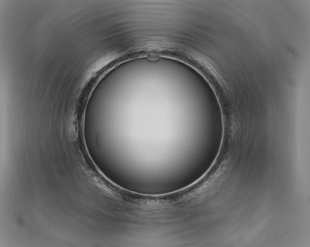 X0000111011018200906191607