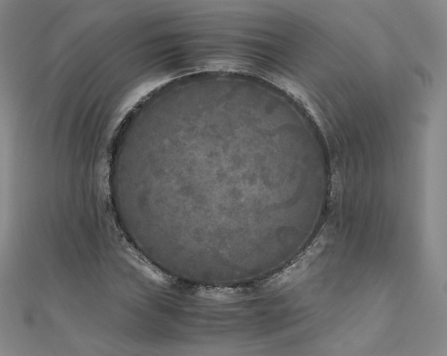 X0000111011019200906191607