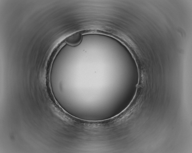 X0000111011020200906191607
